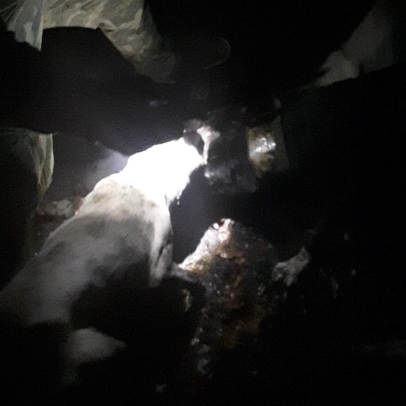 Meet your Posher, Rob - Picture 1 of 1